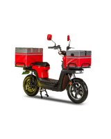 Evtric Motors Connect