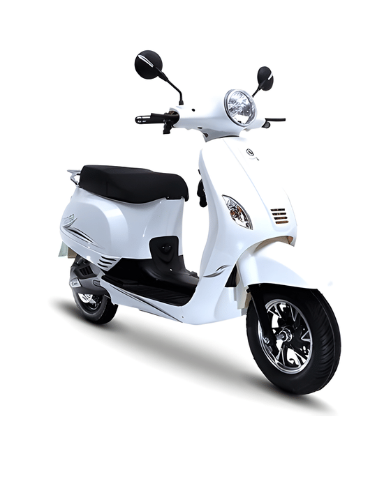 Fidato Evtech Easy Go Fidato Evtech Easy Go