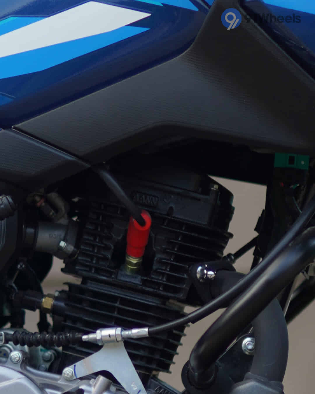 Glamour X image Glamour X image