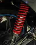 Rear Shock Absorbers