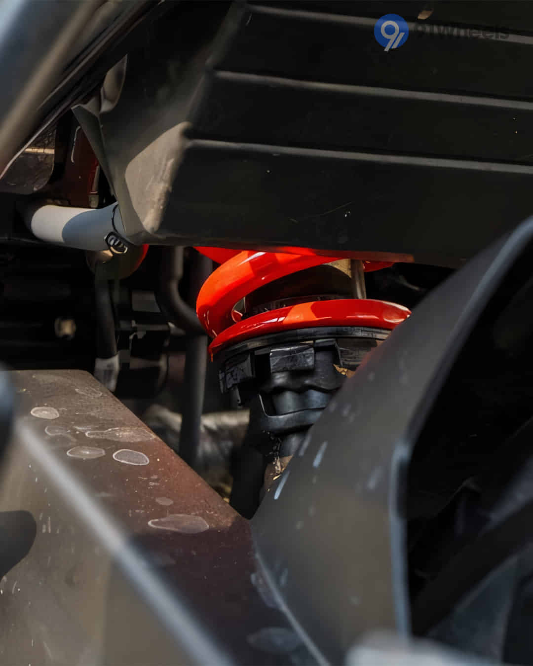 Rear Shock Absorbers