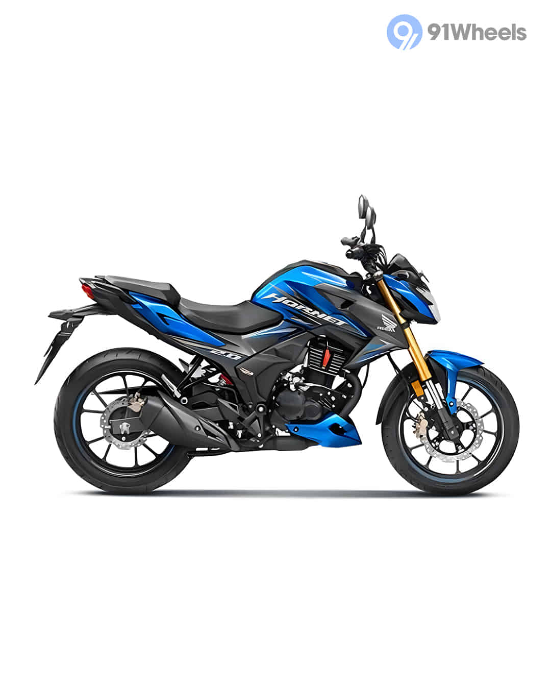 Hornet 2.0 Repsol Edition 6
