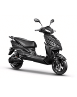 Joy E-bike Wolf Plus