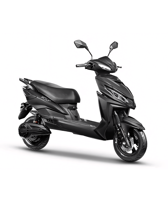 Joy E-bike Wolf Plus QNA Joy E-bike Wolf Plus QNA