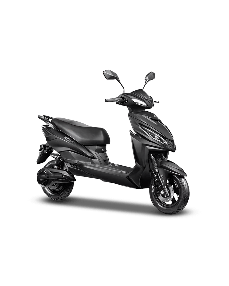 Joy E-bike Wolf Plus