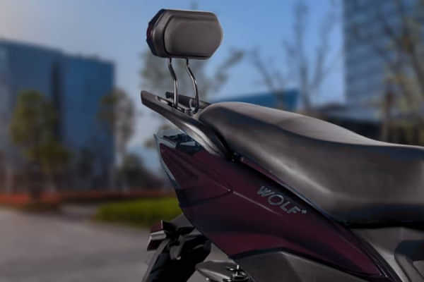 Joy E-bike Wolf Plus Grab Rail Joy E-bike Wolf Plus Grab Rail