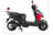 Wolf image  Wolf image