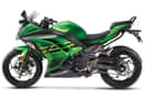Ninja 300 images