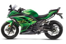 Ninja 300 images