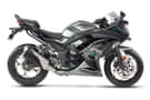 Ninja 300 images