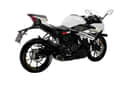 RR 300 images