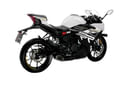 RR 300 images