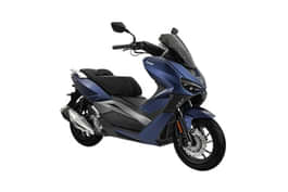 Vieste 300 image