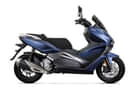 Vieste 300 images