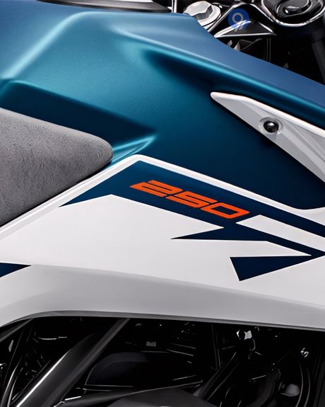 Adventure 250 Fuel Tank
