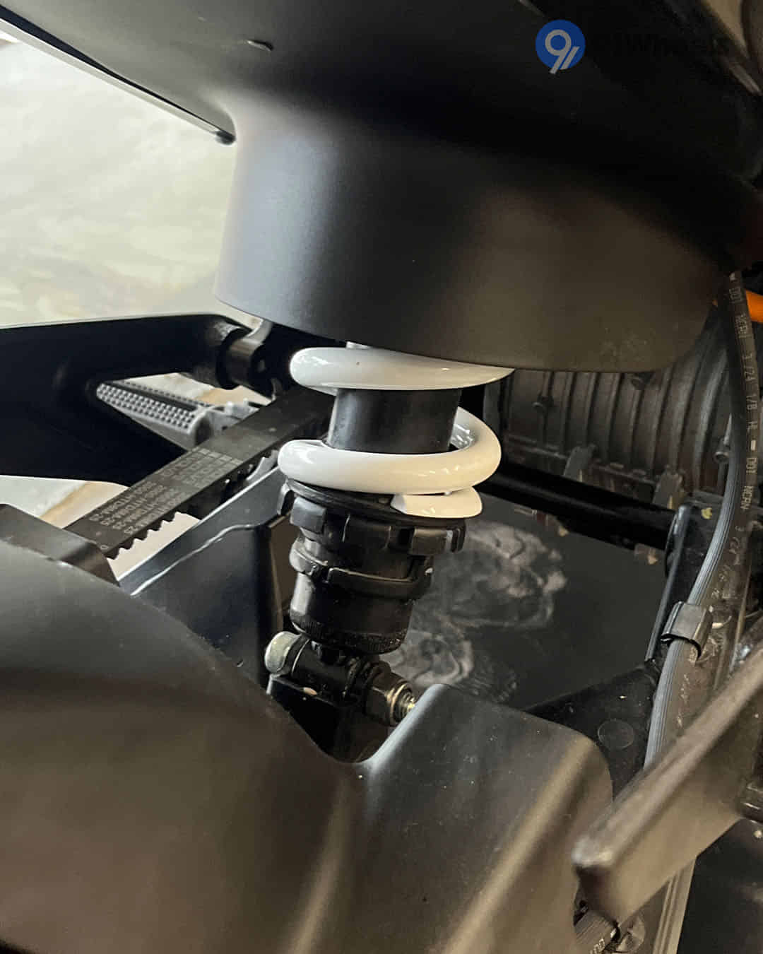 Rear Shock Absorbers