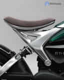 Rear Shock Absorbers