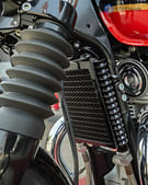 Interceptor 650 images