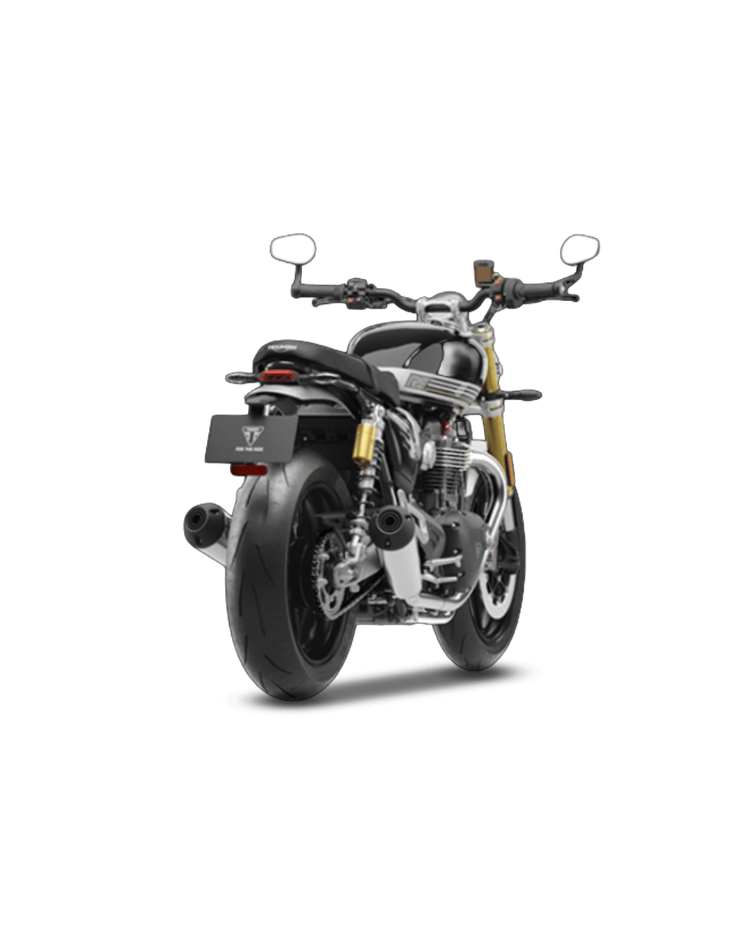 Speed Twin 1200 8