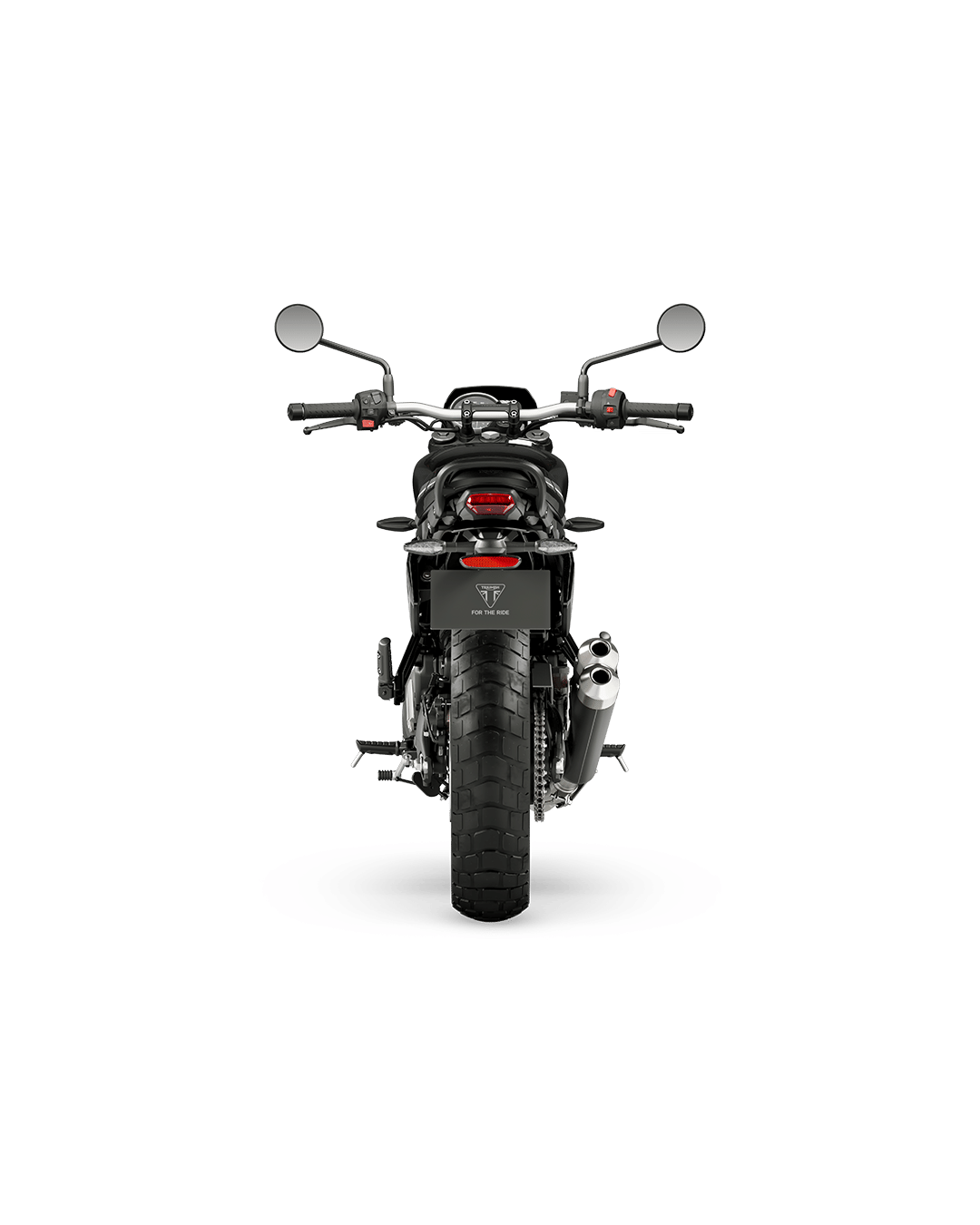 Flat Track Inspired Aggressive Styling  Design 2