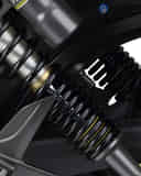 Rear Shock Absorbers