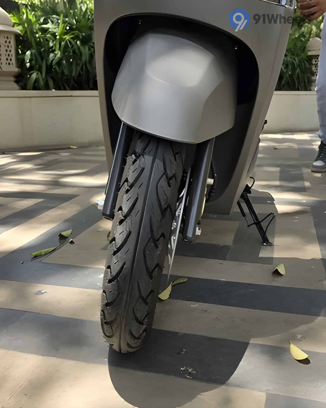 Front Mudguard