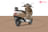 Jupiter 125 image  Jupiter 125 image