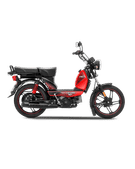 XL 100 images XL 100 images