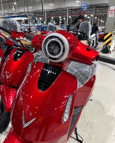 Evo Head Light