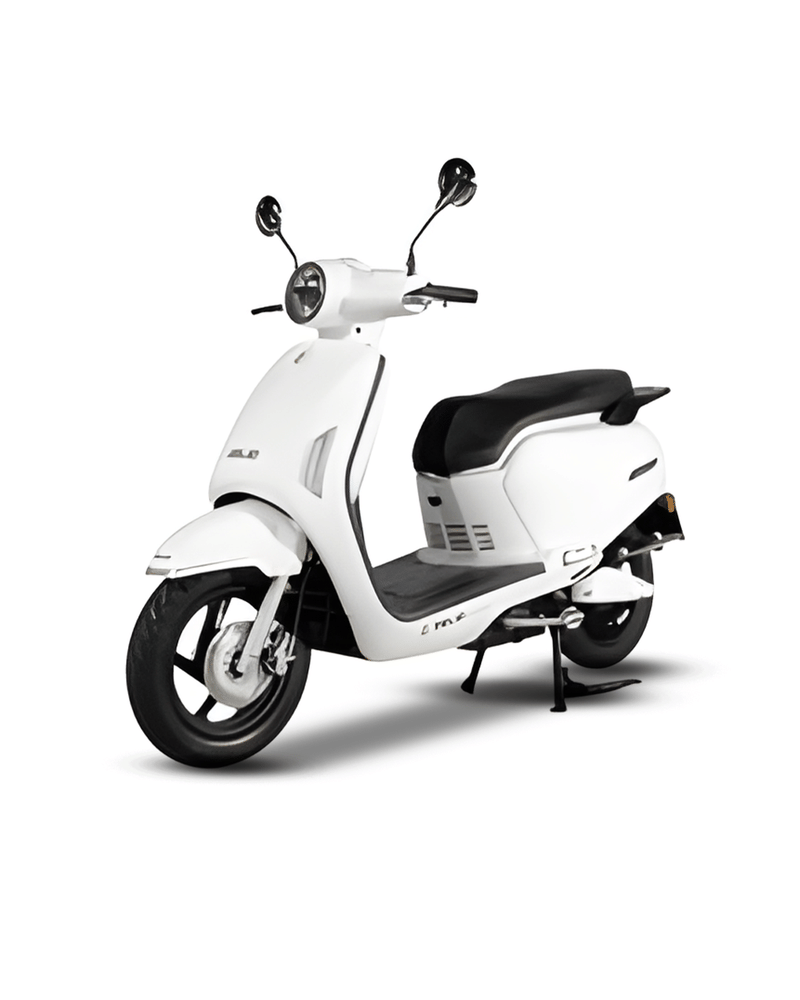 Zelio GRACY PRO - Image 1