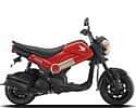 Honda  Navi Profile Image