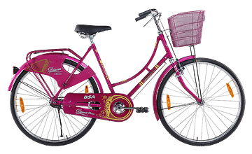 BSA Diana Classic