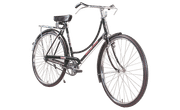 BSA Supreme (Ladies) Base cycle