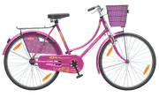 BSA Princess Base cycle