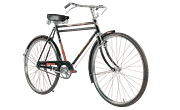 Hercules Popular DTS DTT 28T Base cycle