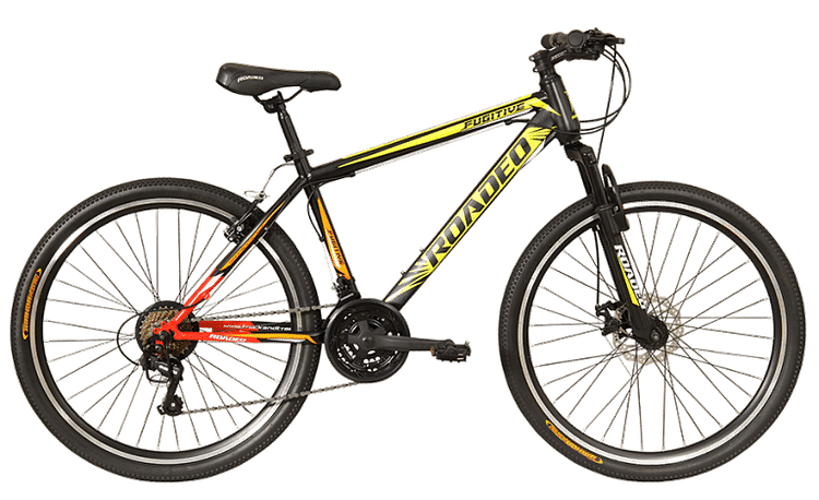 hub gear hybrid bike