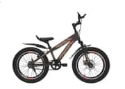 Avon Brazo 20 T Base cycle