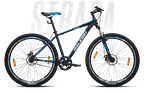 Raleigh STRADA SS