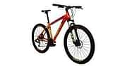Schnell Holts 008 DX (24 SPD) 29T Base cycle