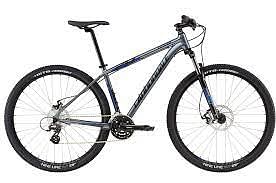 Cannondale trail best sale 8 2019