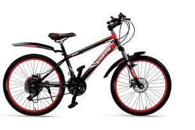 Bicycle best sale price 5000