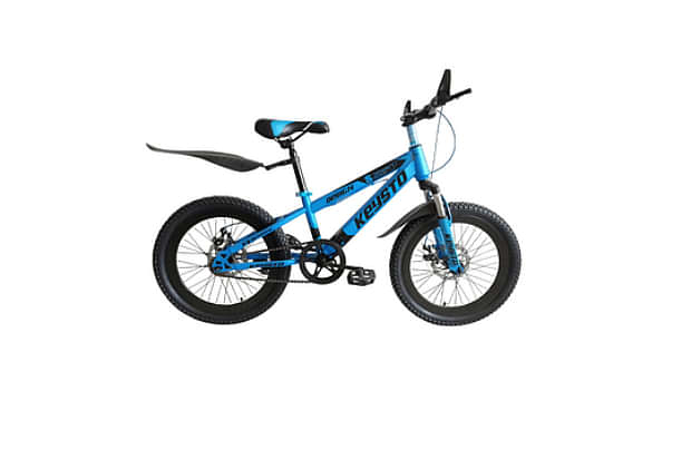 keysto mongo cycle price