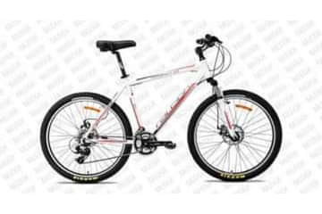 Raleigh TERRAIN 10