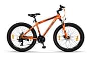 Ninety One REGIONX 26T Base cycle