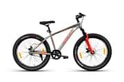 Ninety One VANTAGEX 27.5T Base cycle