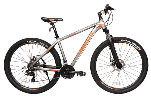 Raleigh moonraker best sale 29 price