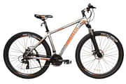 Toronto M20 29 29 inches cycle