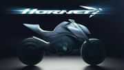 Honda Hornet Bike