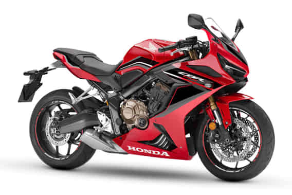 CBR650R 2021- 2024 Profile Image