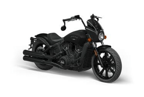Indian Motorcycle Scout Rogue Profile Image